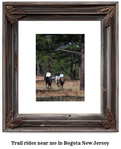 trail rides near me in Bogota, New Jersey